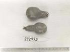 Click for 1 image(s) for this accession. FRUIT